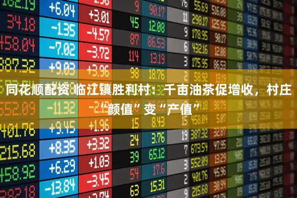 同花顺配资 临江镇胜利村：千亩油茶促增收，村庄“颜值”变“产值”