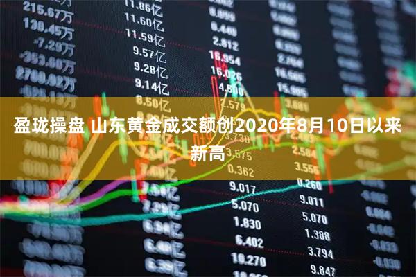 盈珑操盘 山东黄金成交额创2020年8月10日以来新高